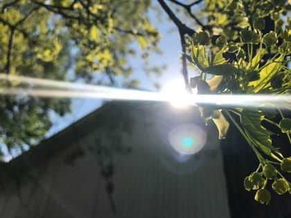 Аномальная жара в Перми начнется уже с обеда 19 апреля