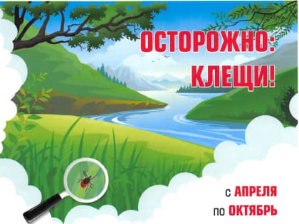 Клещи «просыпаются»