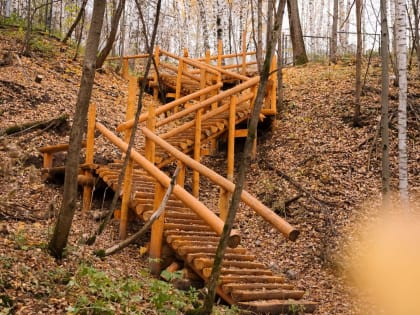 В Перми в 2023 году отремонтируют два места отдыха и создадут новую экотропу