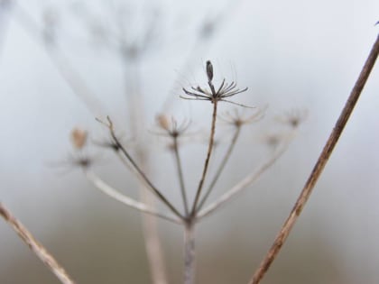 В ​МЧС предупредили о тумане в Пермском крае 28 марта
