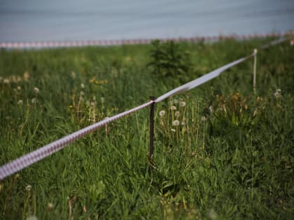 ​В Пермском районе на торги выставили гараж и недостроенное здание за 12,5 млн рублей