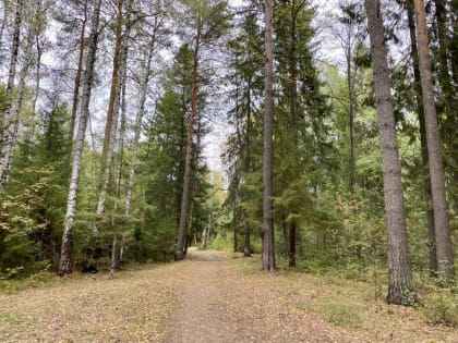 Город-сад. Как проект «Зеленое кольцо» изменит Пермь?