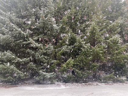 В Пермском крае на неделе температура опустится до -14 градусов