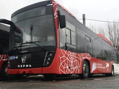 В Перми осенью запустят новый автобусный маршрут
