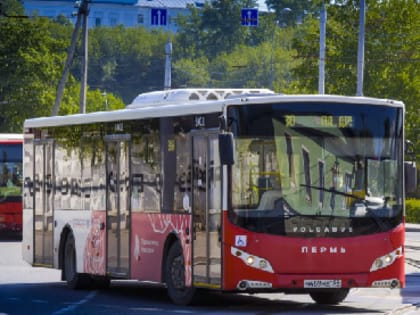 В Перми с 1 ноября несколько автобусов будут ездить по другим маршрутам