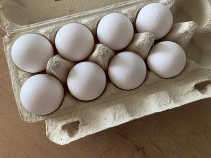 На птицефабрике в Пермском крае Россельхознадзор обнаружил нарушения ветеринарных правил