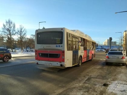 В 2022 году в Перми прибыльными оказались восемь маршрутов общественного транспорта