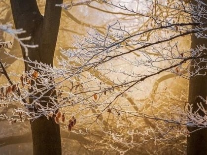 В Пермском крае ночью температура воздуха опустилась до -38,8 градуса