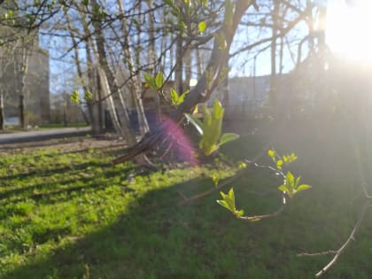 ​Длинные выходные: как отдыхаем в мае 2023 года