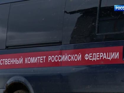 Дело о сбитой насмерть девушке в Прикамье взял на контроль СК РФ