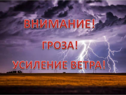 По данным Пермского ЦГМС - филиала ФГБУ «Уральское УГМС» ночью 19 июля в отдельных районах края туман, днём местами сильный дождь, гроза