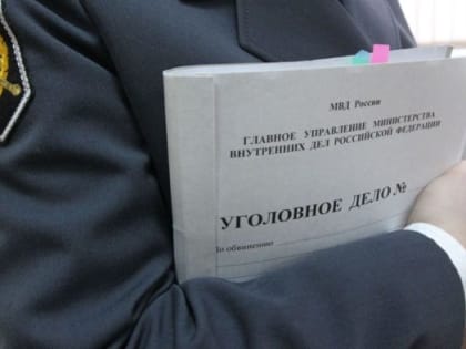 Житель Кудымкара ударил полицейского