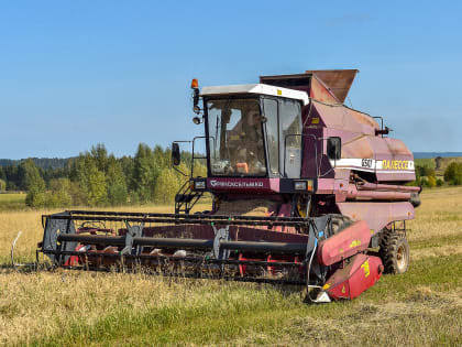 В Пермском крае могут отменить меру поддержки для сельхозорганизаций