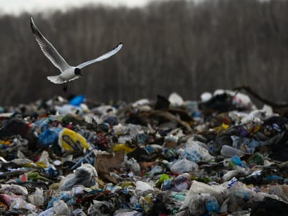 Приём отходов на полигоне в Березниках будет восстановлен в ближайшие два года