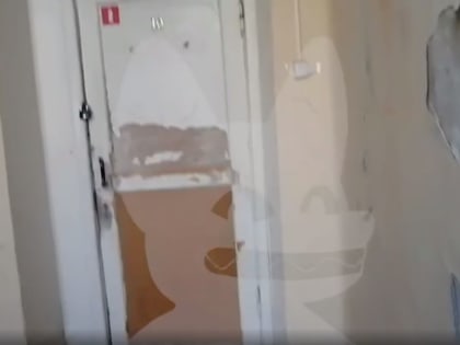 Ксения Собчак раскритиковала состояние здания женской консультации в Перми