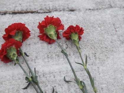 Скончалась заслуженный санитарный врач Пермского края Галина Сергеева