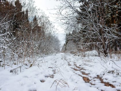 К вечеру в Пермском крае температура воздуха опустится ниже -25 градусов