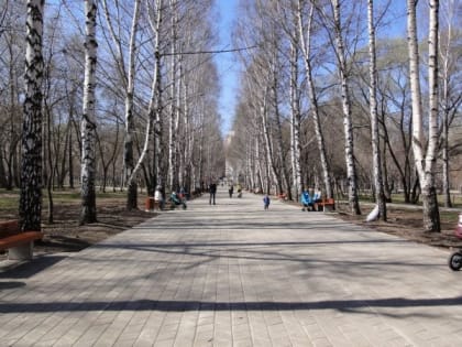 В Прикамье на этой неделе температура воздуха может повыситься до +19 градусов