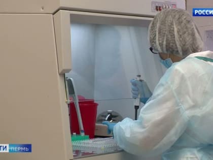 За минувшие сутки в Прикамье выявлено 206 случаев COVID-19