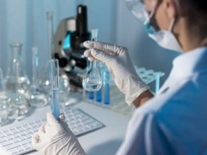 Рост числа укусов клещей в Прикамье