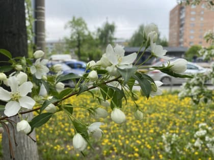 Короткая рабочая неделя: как отдыхаем в июне 2023 года