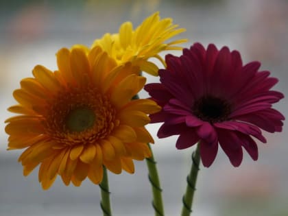 Длинные выходные: как отдыхаем в мае и июне 2023 года