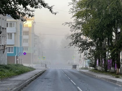 МЧС предупреждает: 17 сентября в Пермском крае ожидается туман