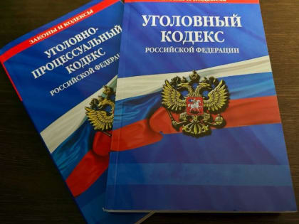 Кража на садовом участке: жителям Соликамска назначили штраф
