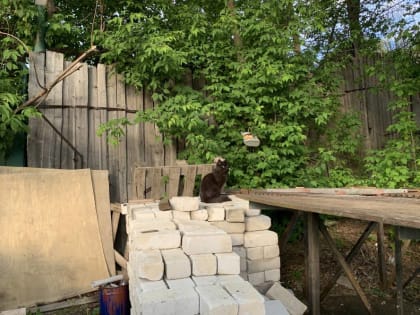 В первой половине июля в Пермском крае ожидается тридцатиградусная жара