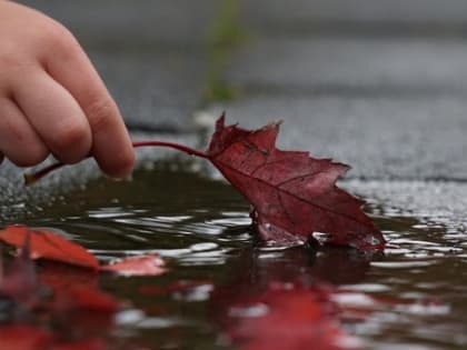 С 4 по 8 сентября 2023 года в Прикамье потеплеет