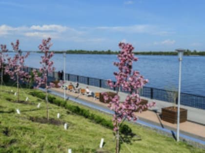 В 2024 году в Перми ремонтом было охвачено порядка 40 парков и скверов