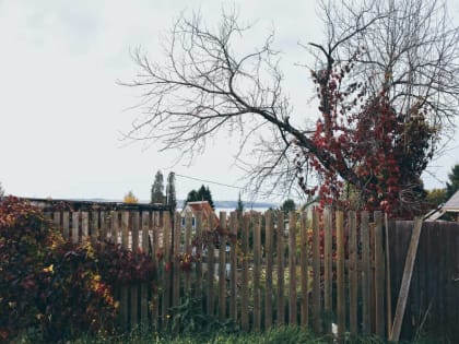 ​В Пермском крае на следующей неделе потеплеет до +15 градусов