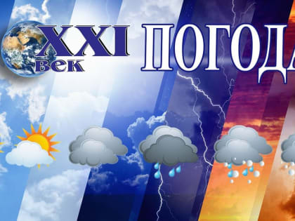 Прогноз погоды в Пермском крае: туман ожидается 18 августа