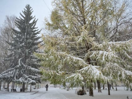 В минздраве Пермского края рассказали, как избежать обморожения