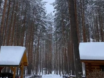 Самый дорогой коттедж в Прикамье нашли в Добрянском округе