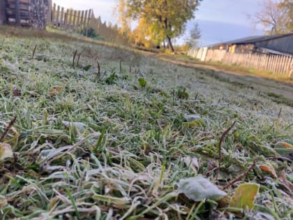 МЧС предупреждает о заморозках в Пермском крае 17 мая