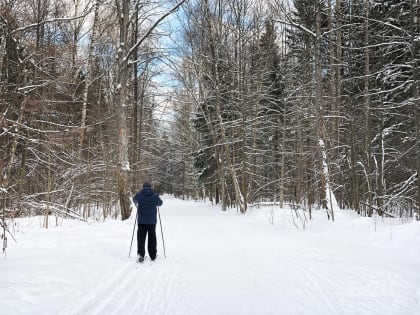 В Перми открываются катки и лыжные трассы