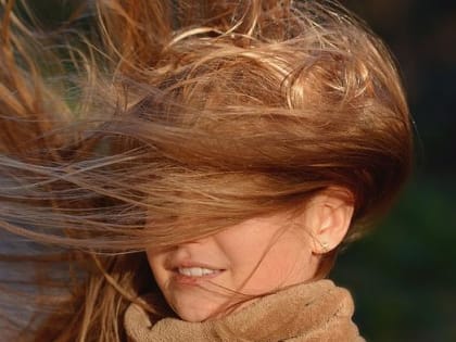 МЧС предупреждает о сильных порывах ветра в Пермском крае 14 апреля