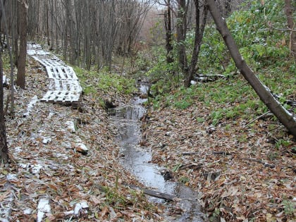 В Перми создана ООПТ «Мотовилихинский»