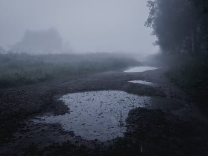 По данным Пермского ЦГМС - филиала ФГБУ «Уральское УГМС» ночью в отдельных районах прогнозируются: сильный дождь, туман