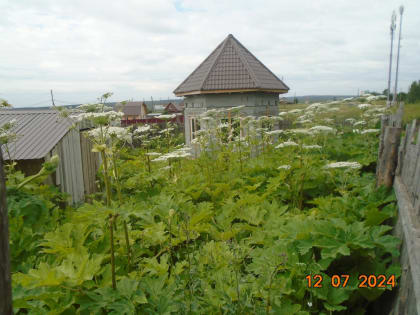 Новые инициативы по улучшению городской инфраструктуры