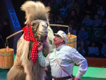 Дрессировщик, избитый ЧОПовцем в Перми отправился на реабилитацию