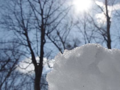 1 февраля стало самым теплым днем в Перми с конца декабря