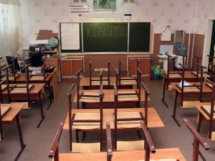 В образовательных заведениях Перми начали вводить карантин по гриппу и ОРВИ