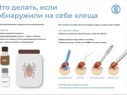 Осторожно, начался сезон клещевой активности