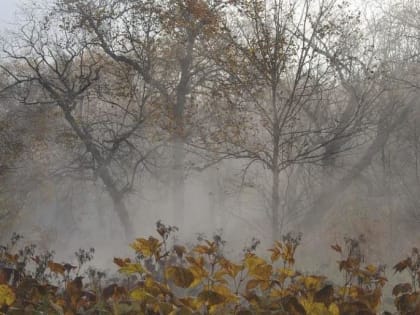 В воскресенье 7 мая в Пермском крае начнется похолодание