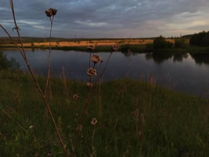 18 июня в Пермском крае ожидаются заморозки до -3 градусов