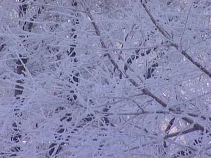 МЧС предупреждает о гололеде и изморози в Пермском крае 12 января