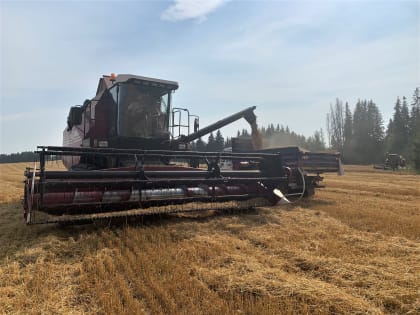 Поздравление губернатора Пермского края с Днём работника сельского хозяйства 2023