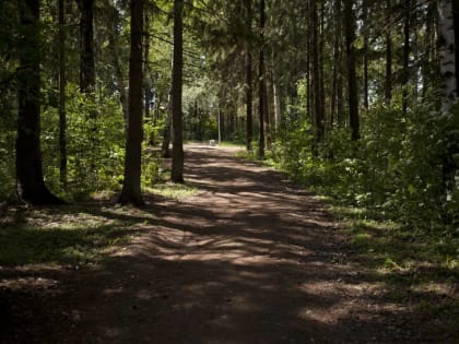 ​Пермские экологи поддержали отказ от размещения ларьков в Балатовском парке